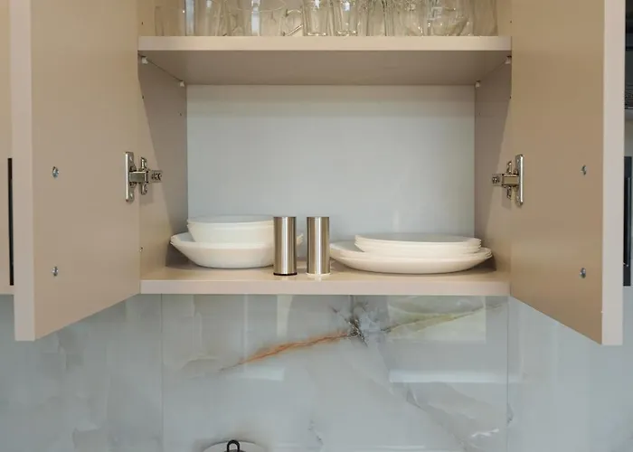 Modern * 소스노비크